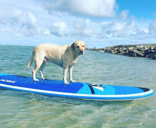 Thing To Do Attractions